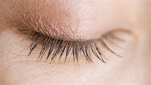 Vânătoarea de pleoape Vânătoarea de pleoape