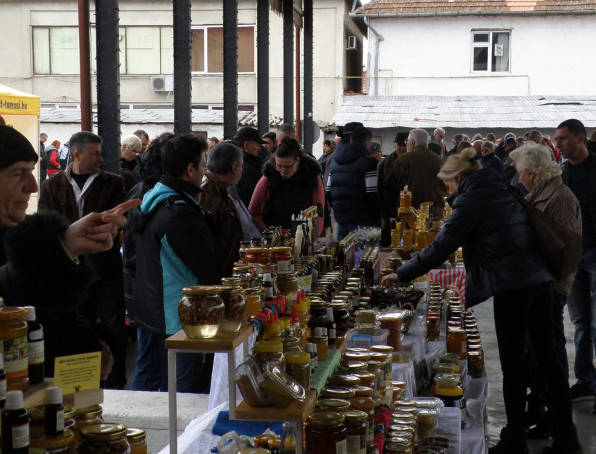 Roiul de albine până anul viitor adună miere! Roiul de albine până anul viitor adună miere!