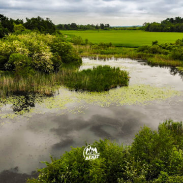 Codru Fest 2019 se va desfășura lângă Ghiroda Codru Fest 2019 se va desfășura lângă Ghiroda