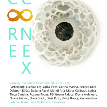 Expozițiile CORE-CONEX, la UAP Timișoara