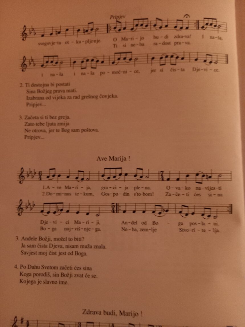 Cântecele şocţiilor şi bărbatul care îşi apără rădăcina! Cântecele şocţiilor şi bărbatul care îşi apără rădăcina!