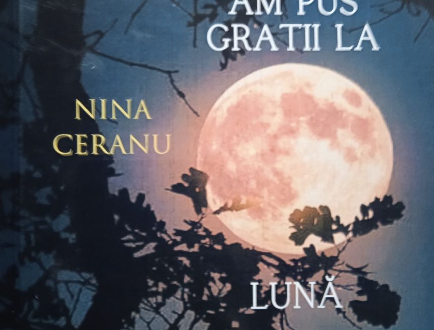 Romanul întoarcerii Romanul întoarcerii