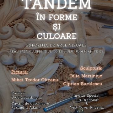 Tandem în forme și culoare Tandem în forme și culoare