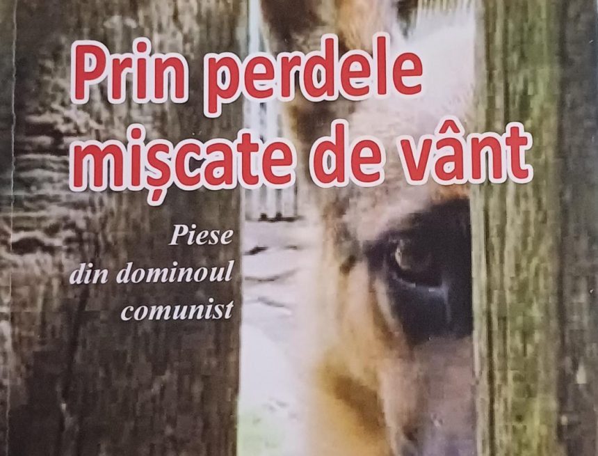 În căutarea timpului uitat