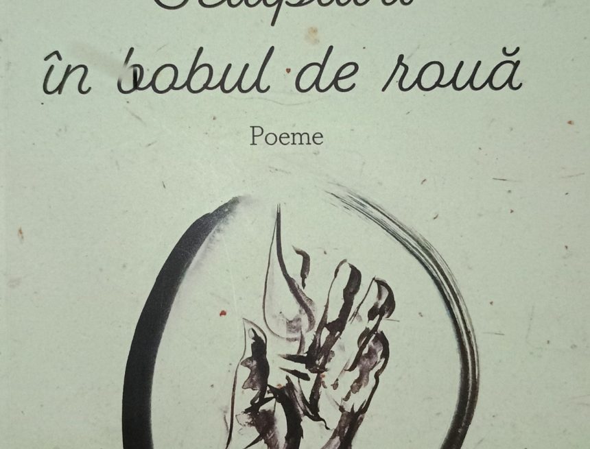 Solomonit de sensibilitatea Ființei Solomonit de sensibilitatea Ființei