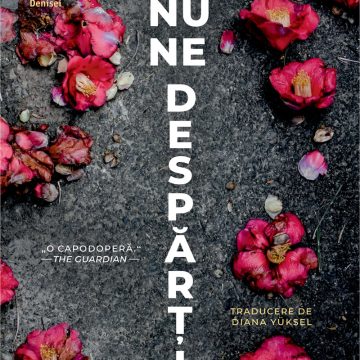 O torță în noapte O torță în noapte