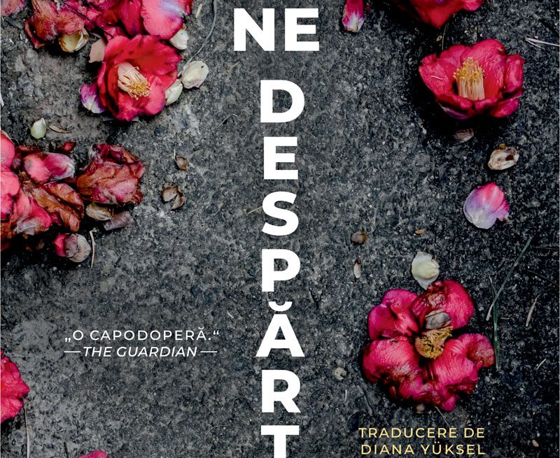 O torță în noapte O torță în noapte