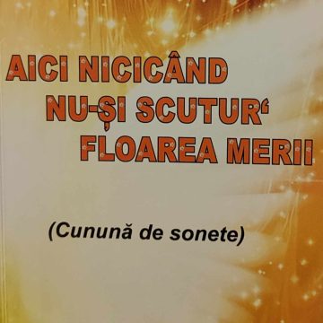 Crucea cea mai grea Crucea cea mai grea